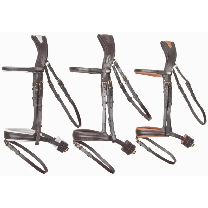 Briglia testiera anatomica Matisse T de T Super Prezzo