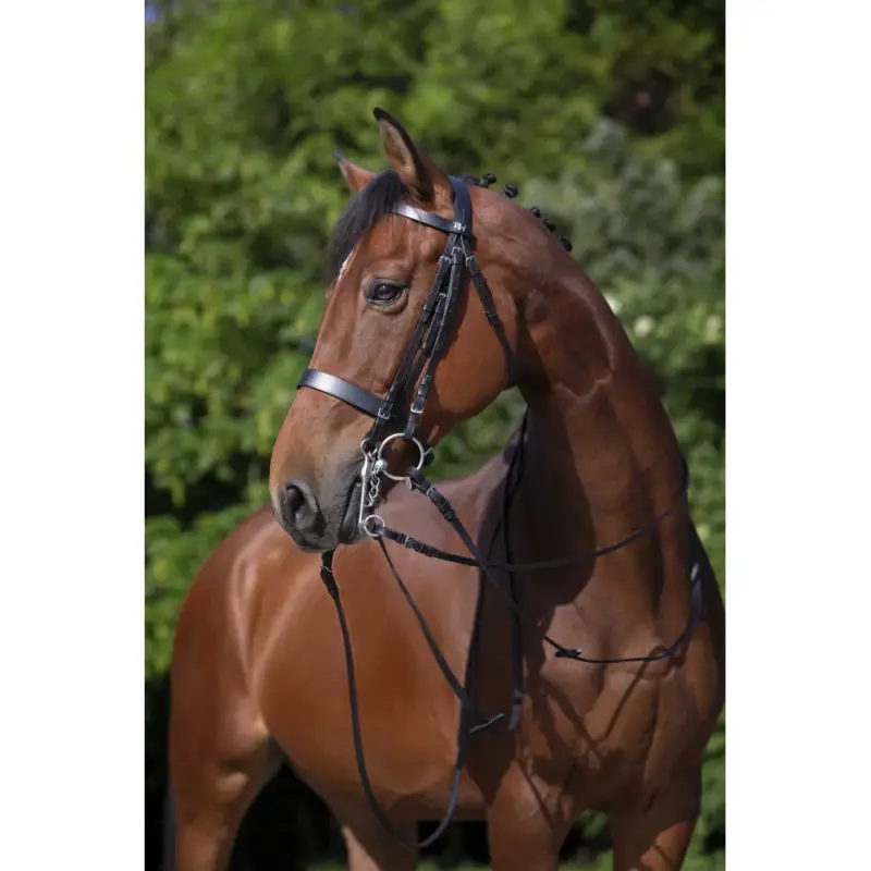 Bride Riding World Reso Gratuito