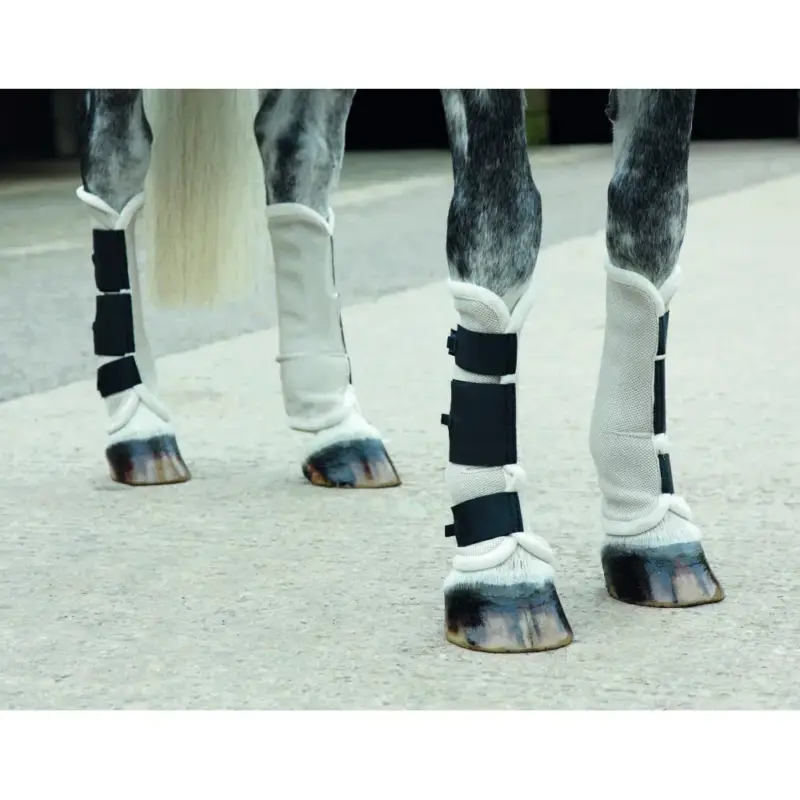 Ghette antimosche Fly turnout Shires Non Perdere