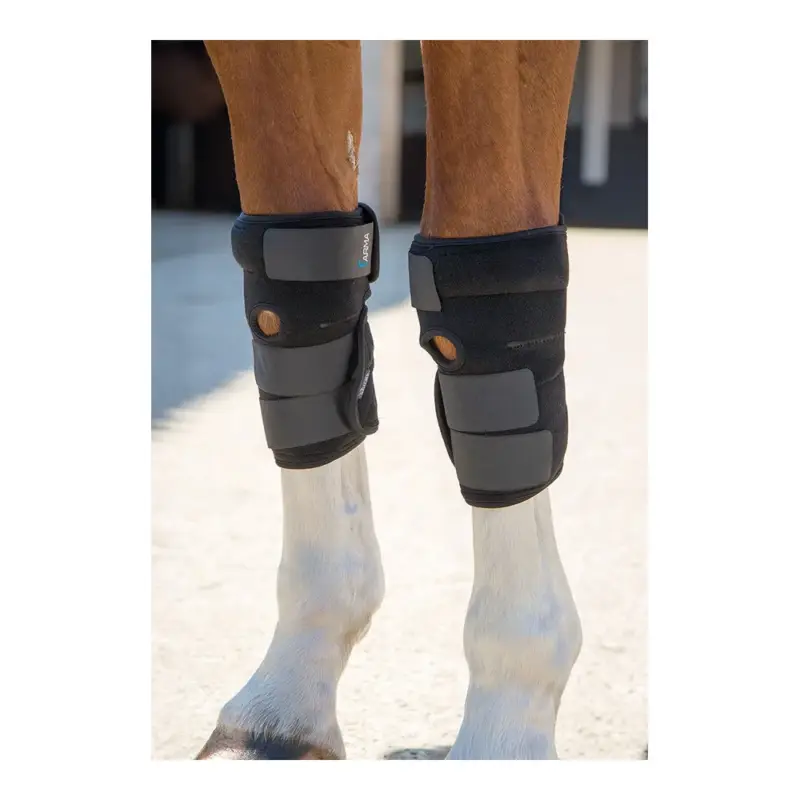 Stinchiere terapeutiche per tendini Arma Shires Occasione Imperdibile