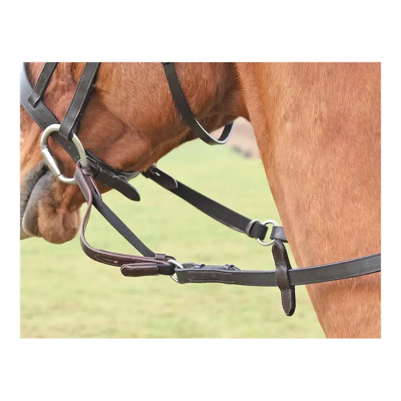 Subito Disponibile Flexi Rein® Shires