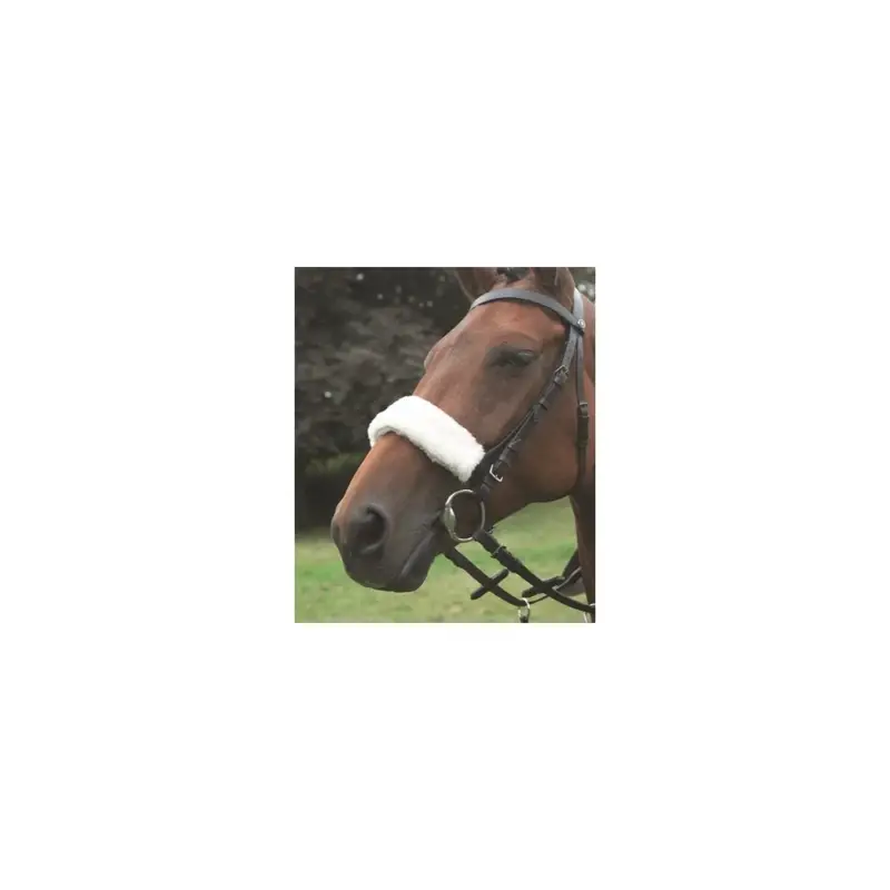Sconto Copri-nasale in Acrilan Shires