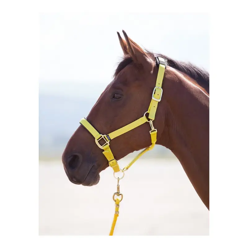 Sconto Cavezza in nylon Topaz Shires