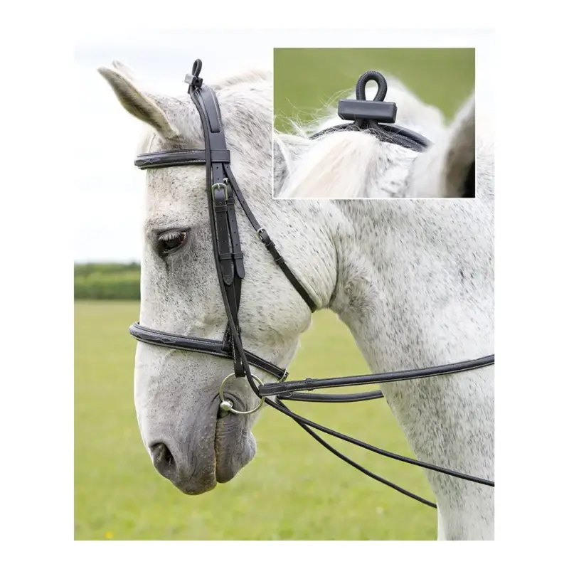 Redini elastiche Shires Promo Stagionale