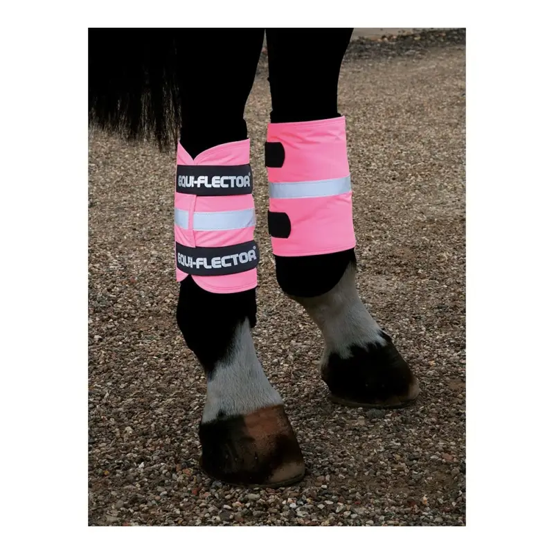 Affare Ghette riflettenti Equi-Flector® Shires