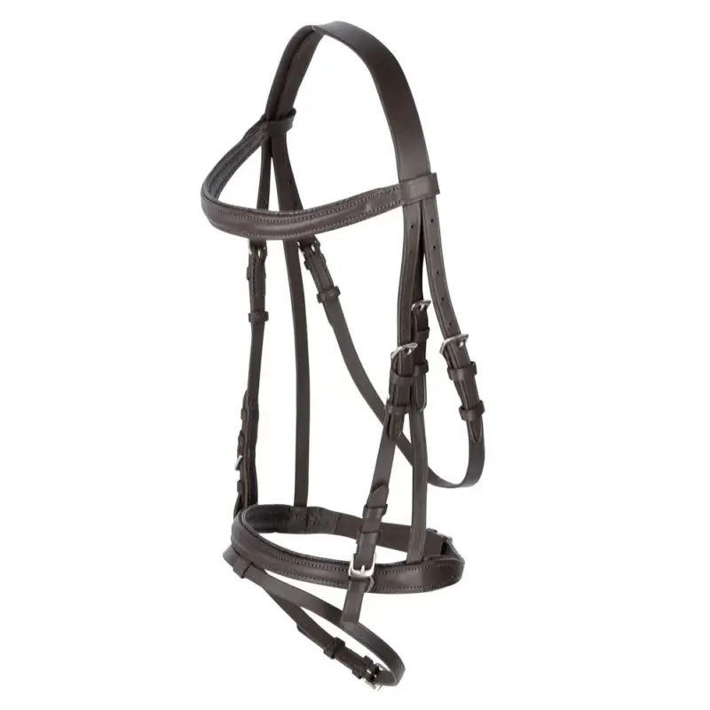 Ultime Pezzi Briglia Standard Covalliero