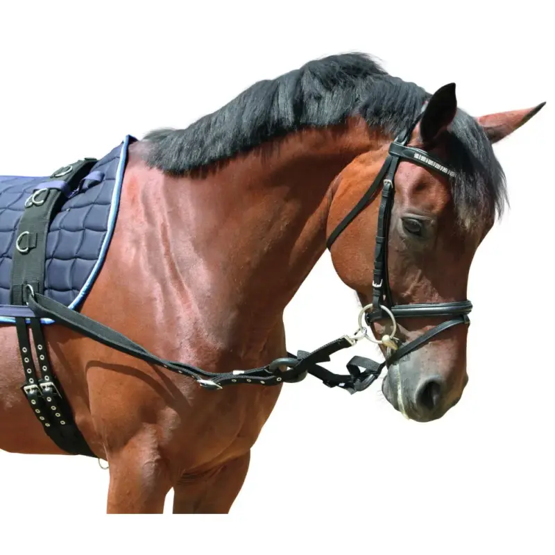 Redine elastica Covalliero Promozione Esclusiva