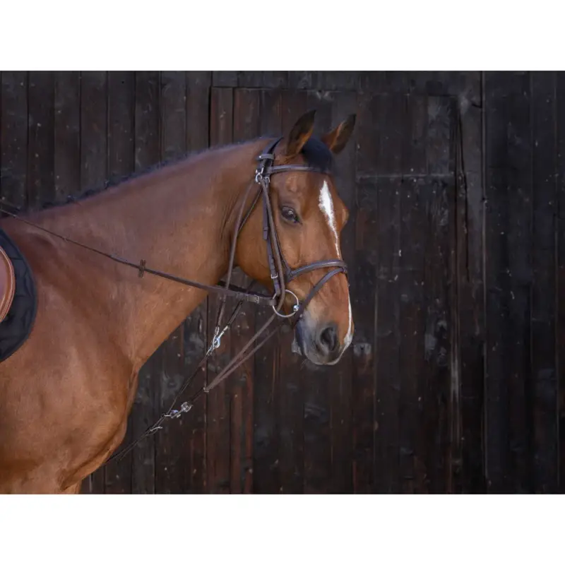 Soddisfatti O Rimborsati Gogue a carrucole Riding World