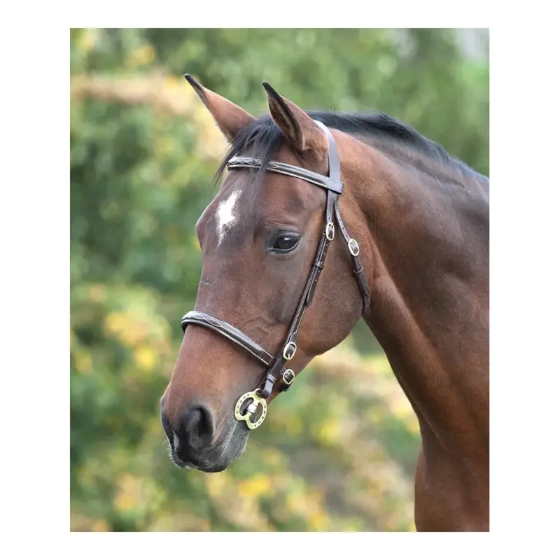 Briglia con impunture Fancy Blenheim Shires Offerta