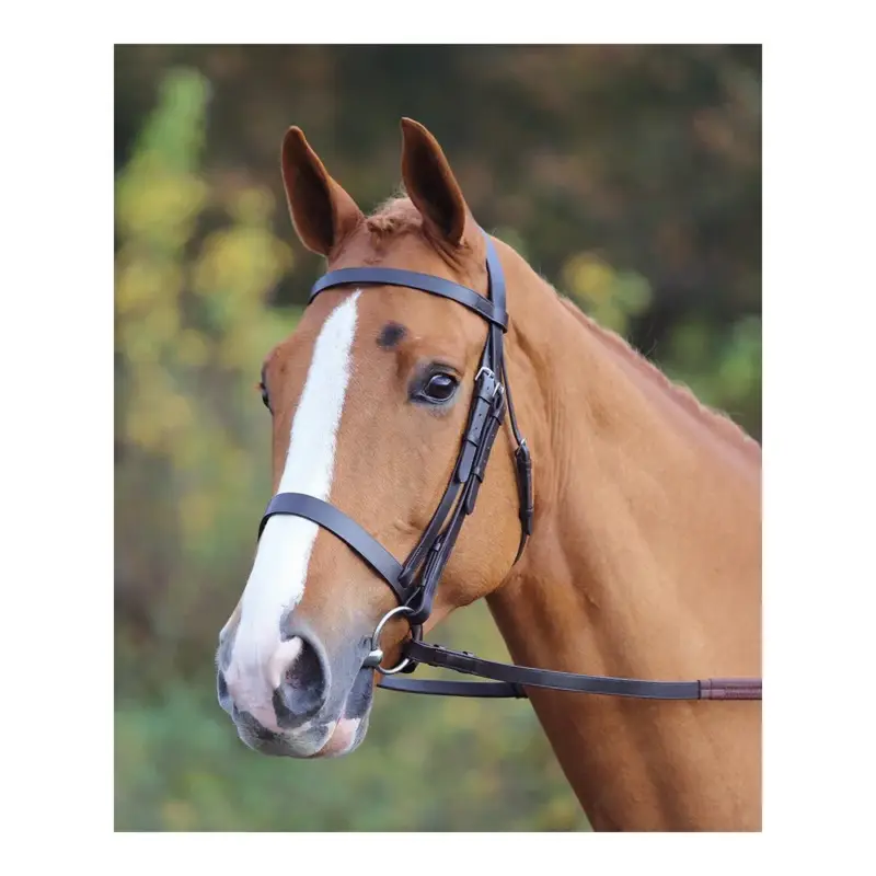 Filet Aviemore Shires Pagamento Sicuro