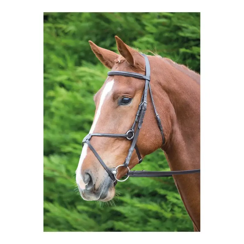 Briglia messicana Aviemore Shires Professionale