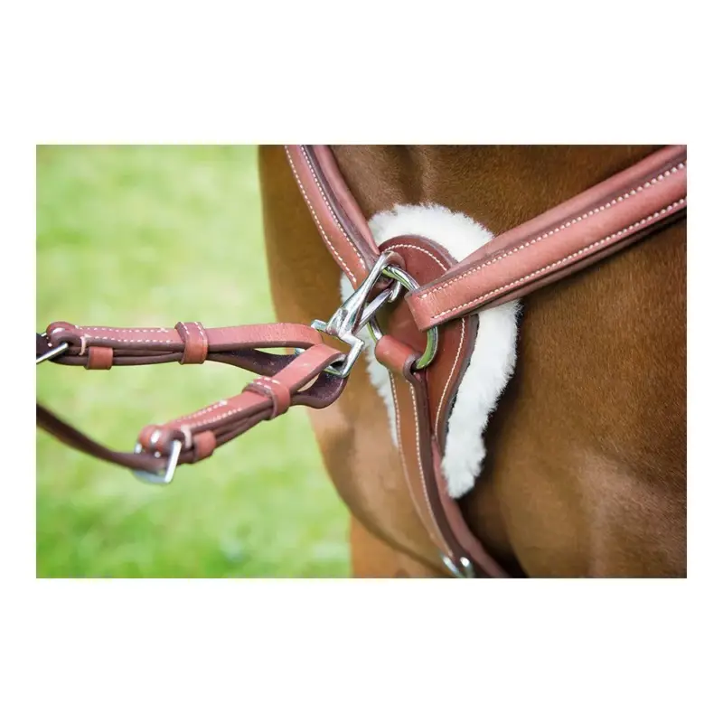 Super Prezzo Pettorale a 5 punti Avignon Shires