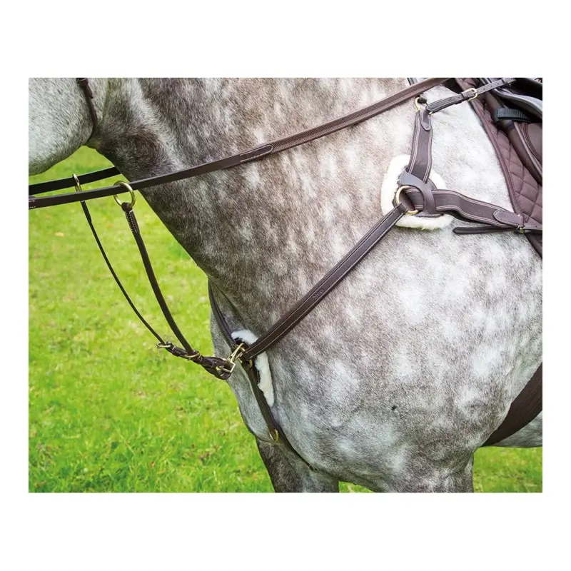 Pettorale a 5 punti Salisbury Shires Vendita Finale