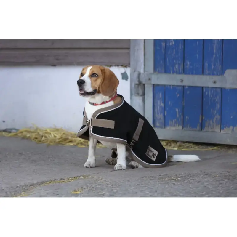 Coperta per cane Diego & Louna Polyfun Consegna Rapida