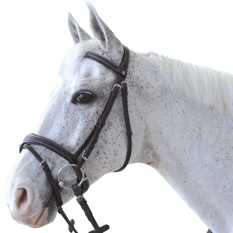 Offerta Speciale Bridon Canter ORNELLA