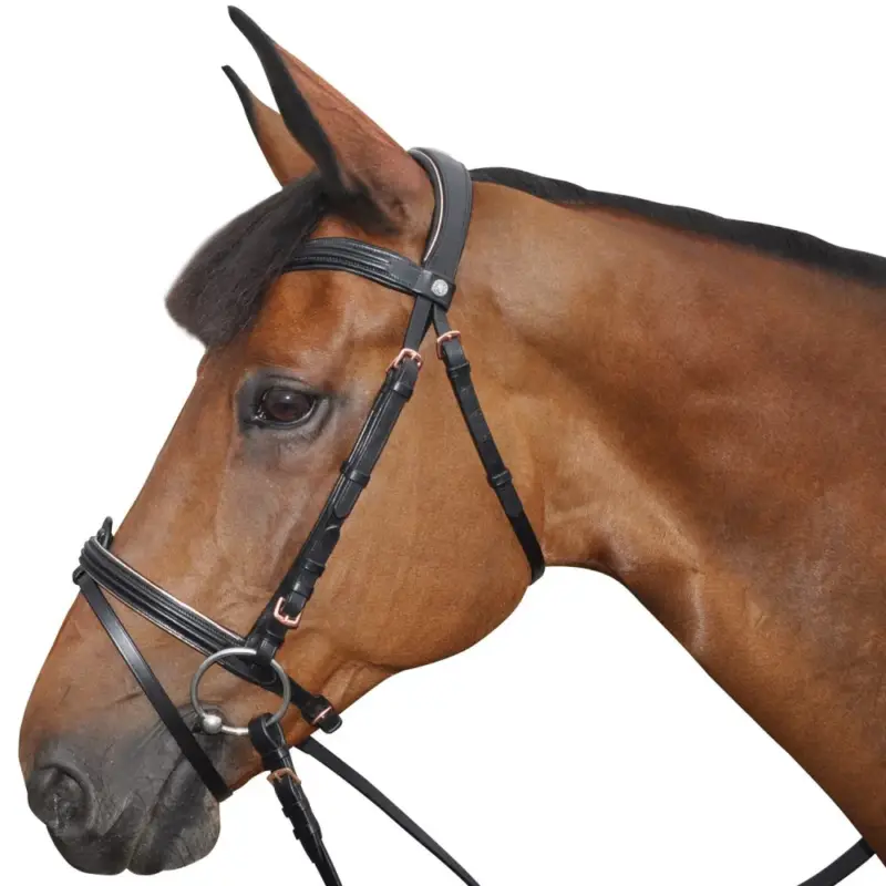 Bridon Canter ROSE GOLD Non Perdere