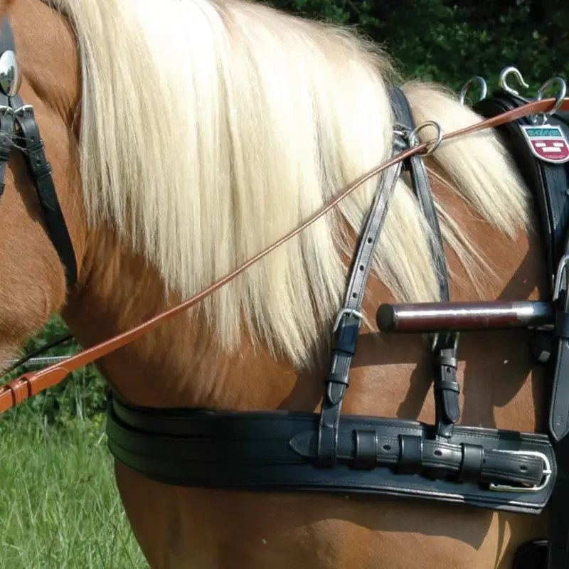 Più Venduto Bricole Euro con sovracapo Canter