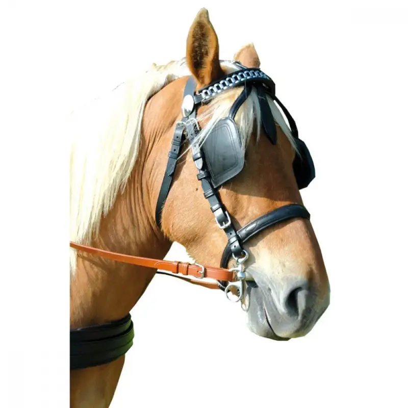 Economico Briglia imbracatura EURO Canter