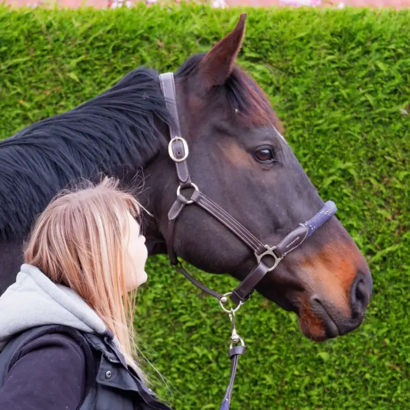 Capestro in corda Canter Ultimissimo Modello