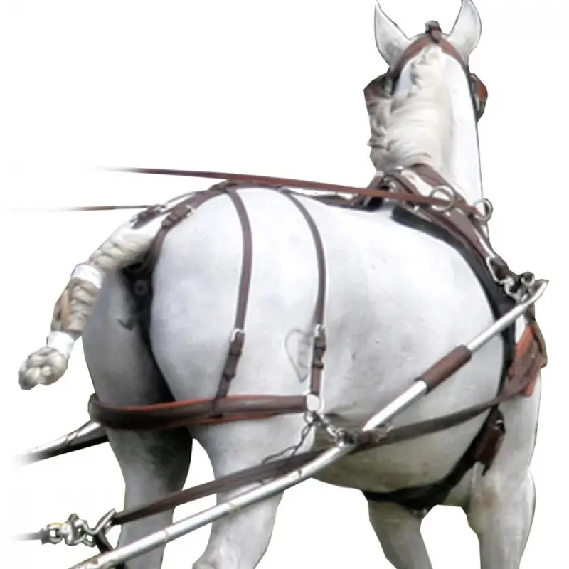 Compra Oggi Stesso Arretramento MARATHON Eric Le Tixerant