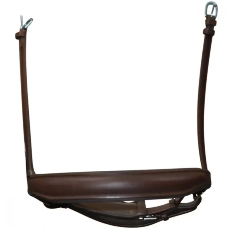 Capezza da dressage larga Flags & Cup Spedizione Espresso