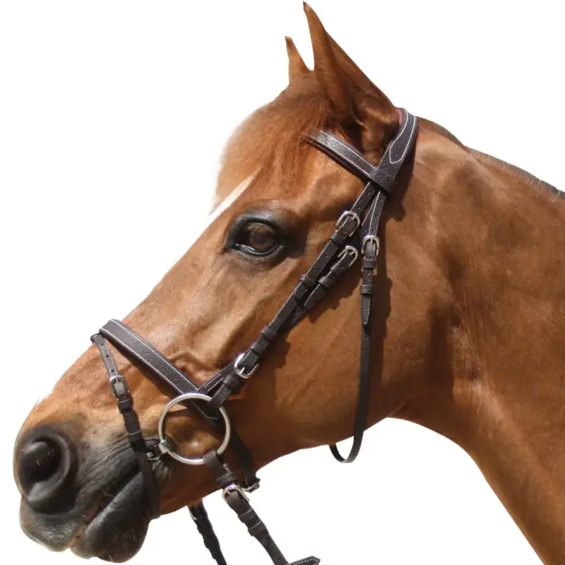 Briglia Privilege Equitation Grandville combinata Esclusivo