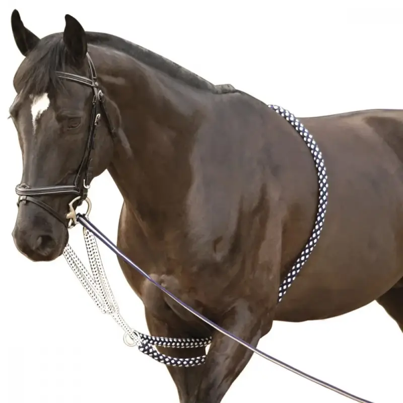 Enrenamento Soft Rope Canter Saldi
