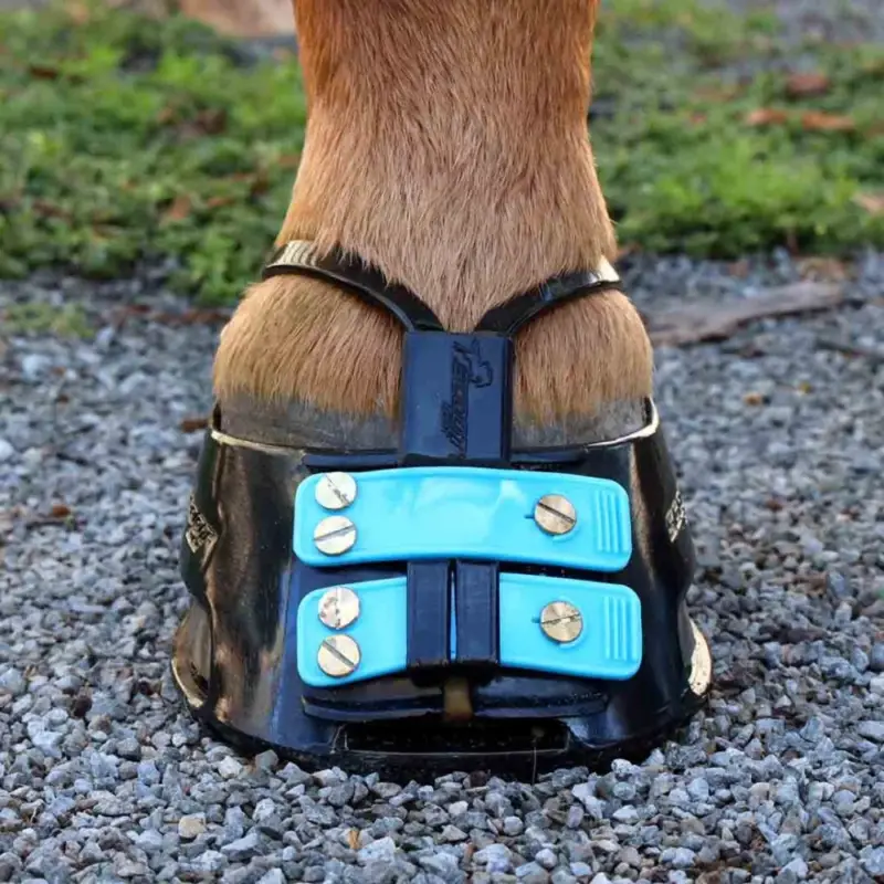Sconto Cinghia anti-fango Scoot mud strap