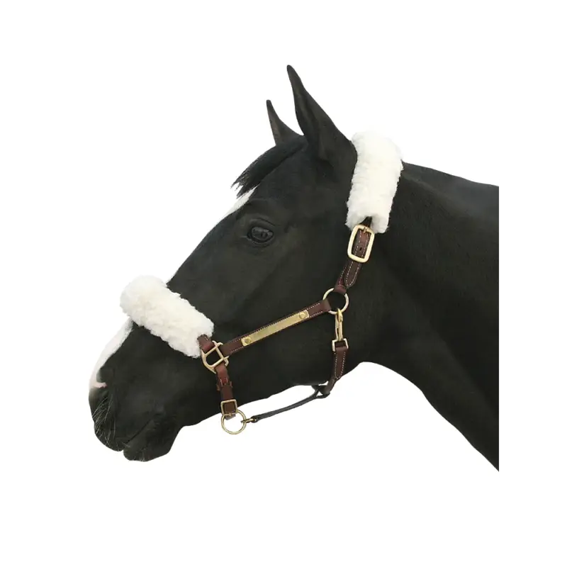 Set completo capezza Back On Track Offerta Limitata