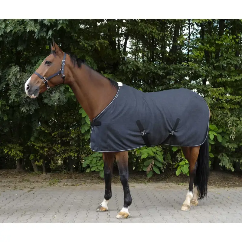 Camicia Equithème Mélange Spedizione Espresso