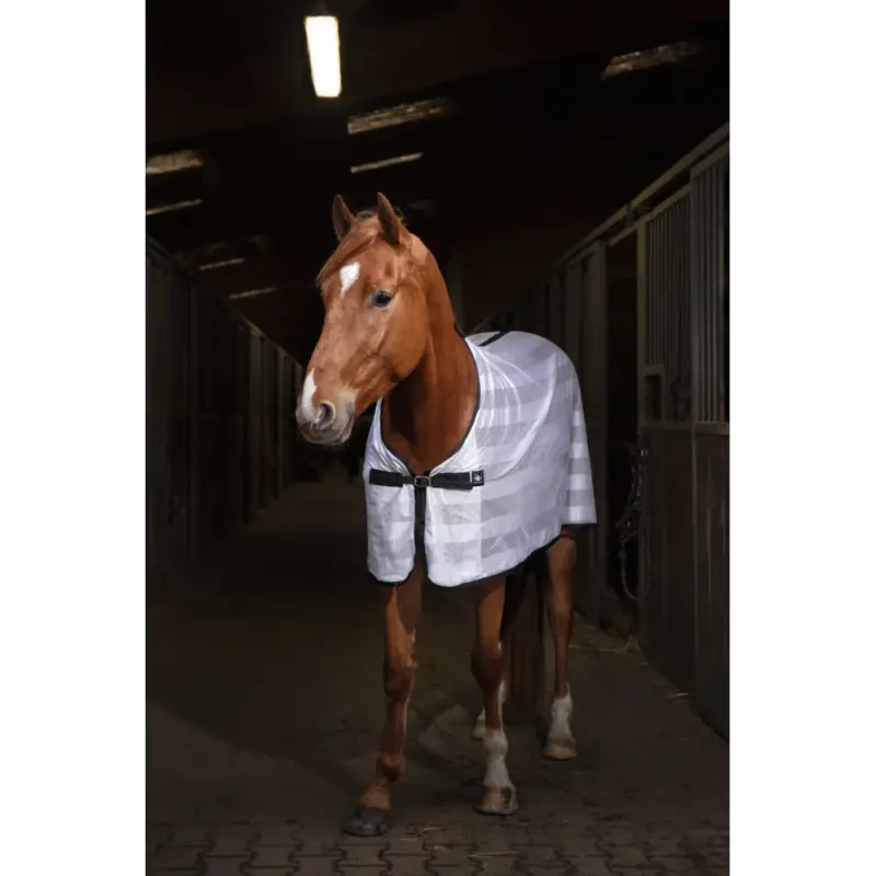 Compra Online Camicia Riding World Mesh