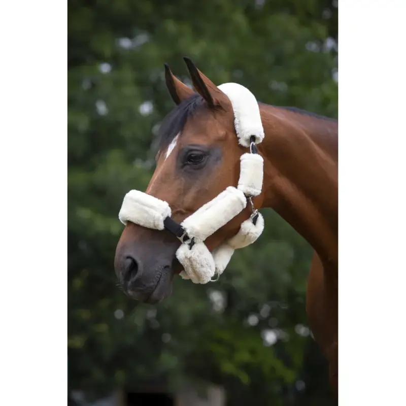 Occasione Set per cavezza Equithème Teddy