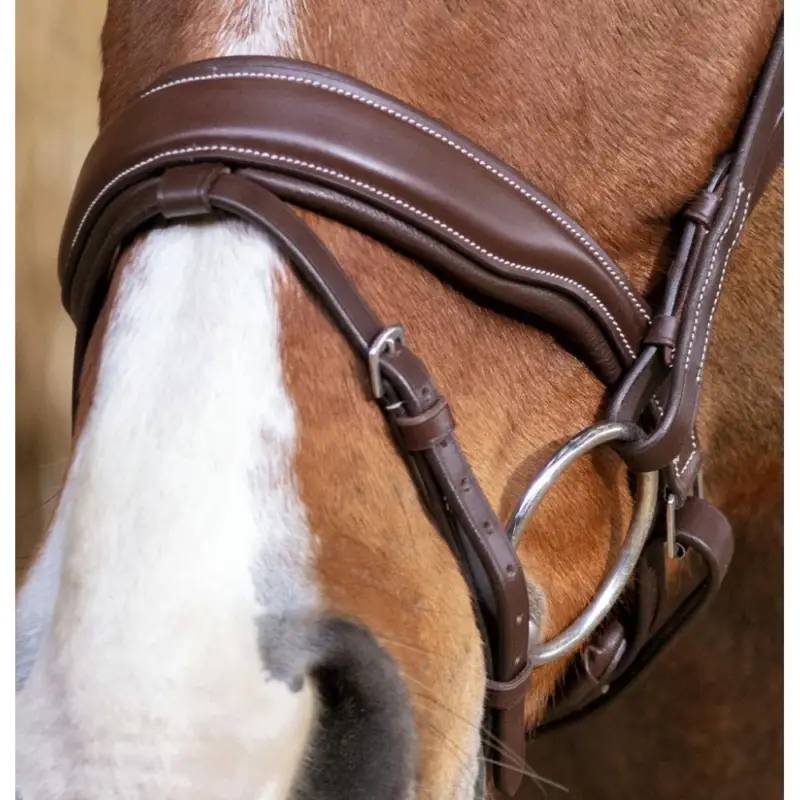 Bridon Norton Pro Miss Vendita Finale