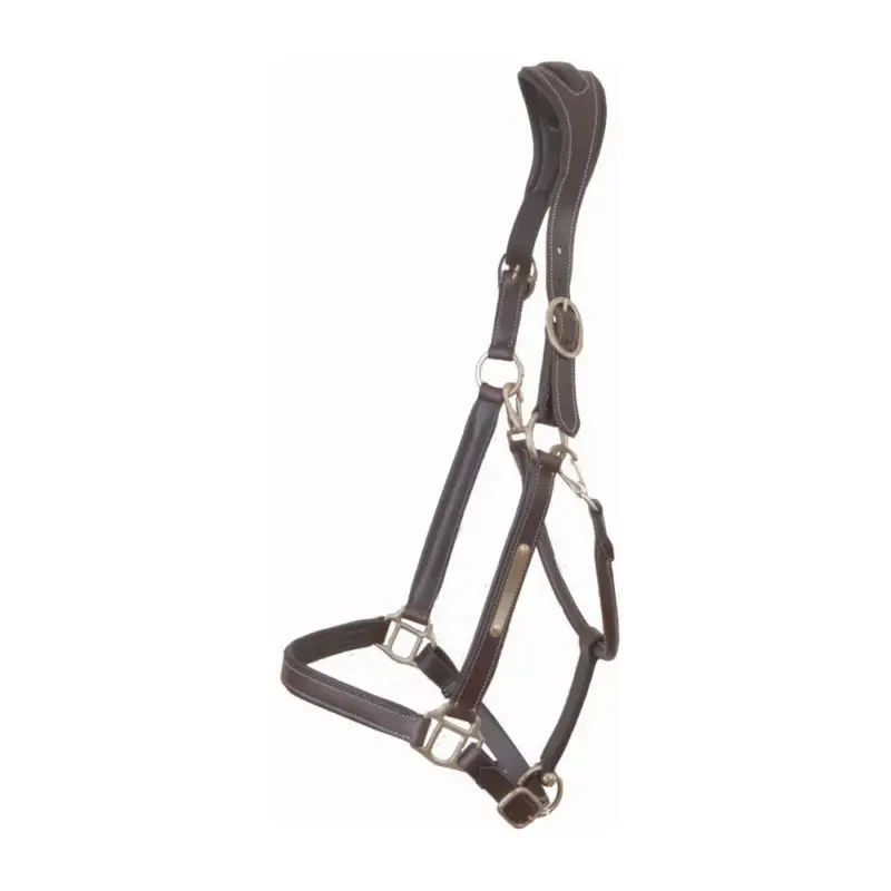 Capestro in Pelle con Placchetta e Capezzina Anatomica T de T Esclusivo