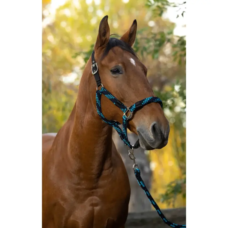Capestro + lunghina Equitheme Intrecciato Promo Stagionale