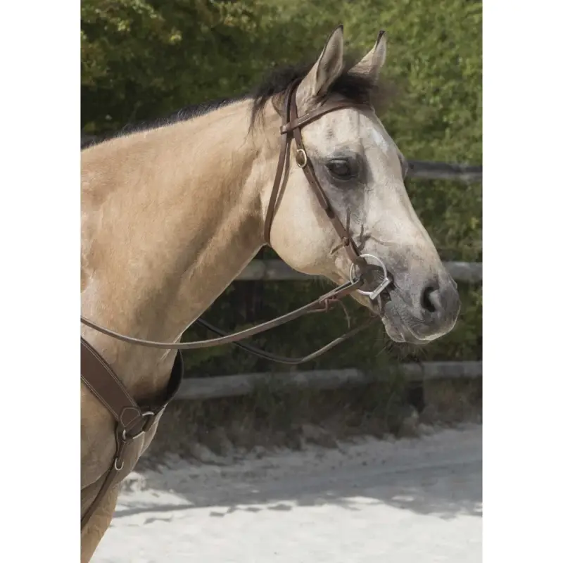 Offerta Limitata Bridon Westride di Franck Perret Colorado
