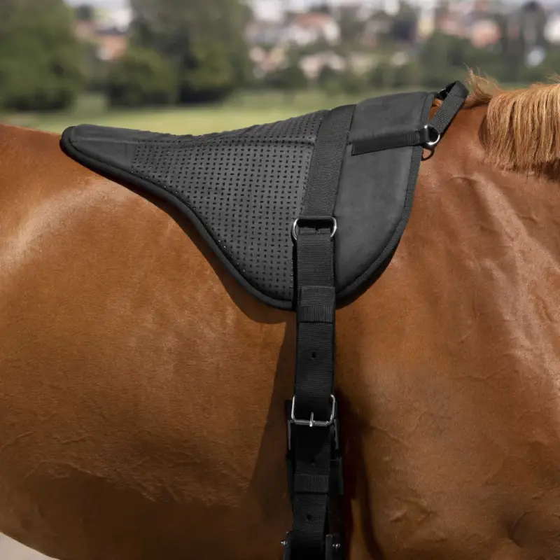 Tappeto da monta a pelo Norton Silicone Solo Oggi