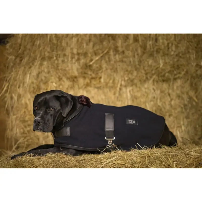 Compra Oggi Stesso Coperta in pile Diego & Louna Teddy