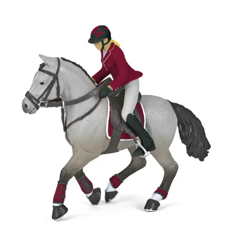 Cavallo da concorso e la sua cavallerizza Papo Offerta