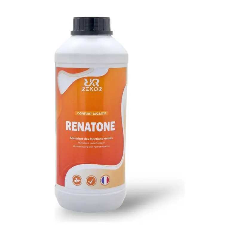 Occasione Imperdibile Integratore alimentare liquido Rekor Renatone