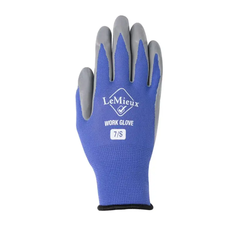 Promozione Guanti da lavoro LeMieux
