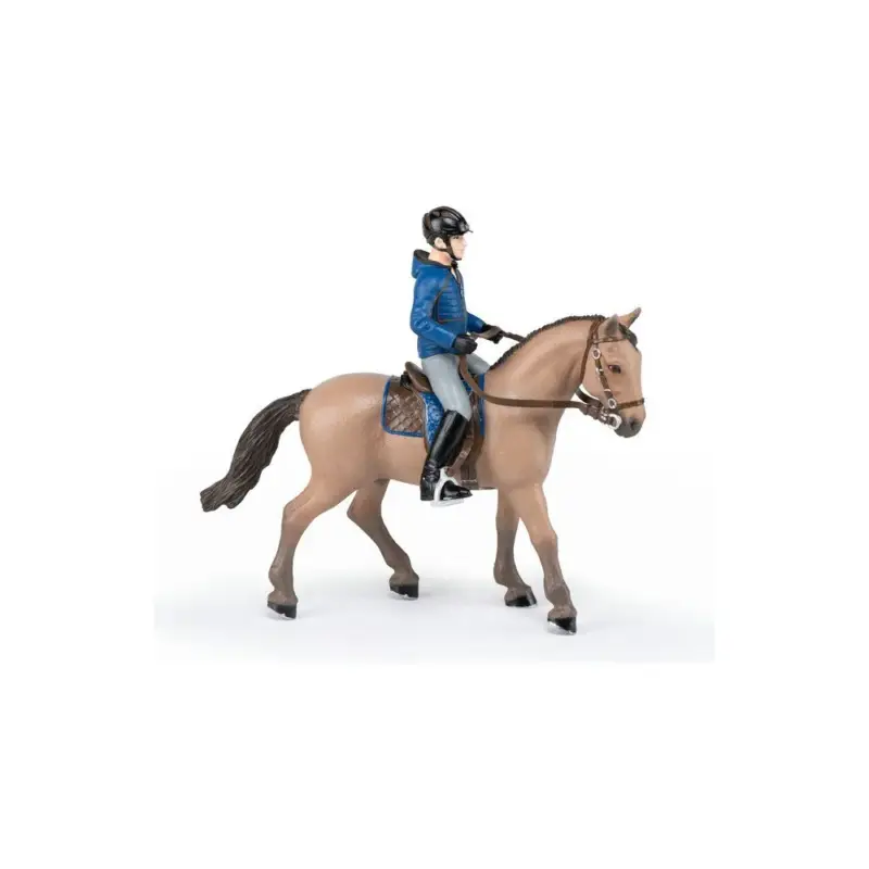 Cavallo da passeggiata e il suo cavaliere Papo Spedito Oggi