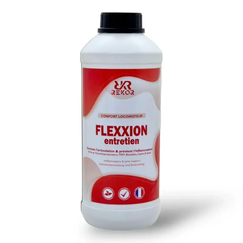 Compra Oggi Stesso Integratore alimentare Rekor Flexxion Manutenzione