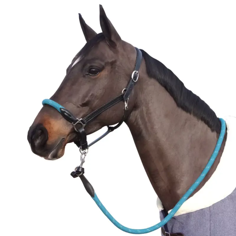 Capestro in corda Canter fibbie bianche Scelto Dai Clienti