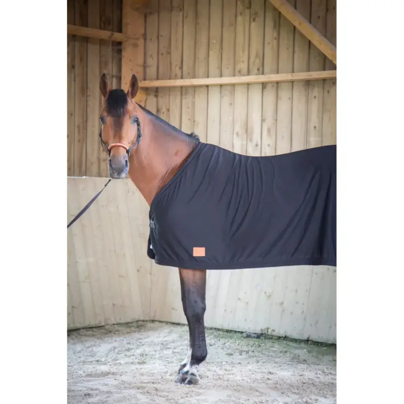 Di Tendenza Camicia Asciugante Paddock Sports