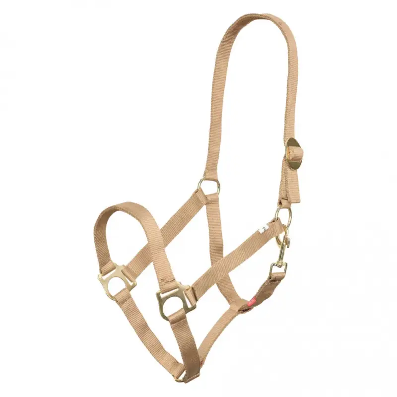 Compra Oggi Stesso Capezzina Imperial Riding Economic