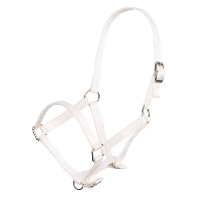Reso Gratuito Capestro per puledro in nylon con capezzina e frontalino regolabili Imperial Riding