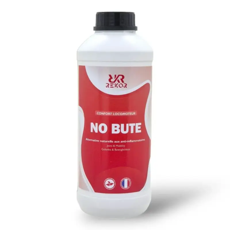 Alimento complementare Rekor No bute Must-Have