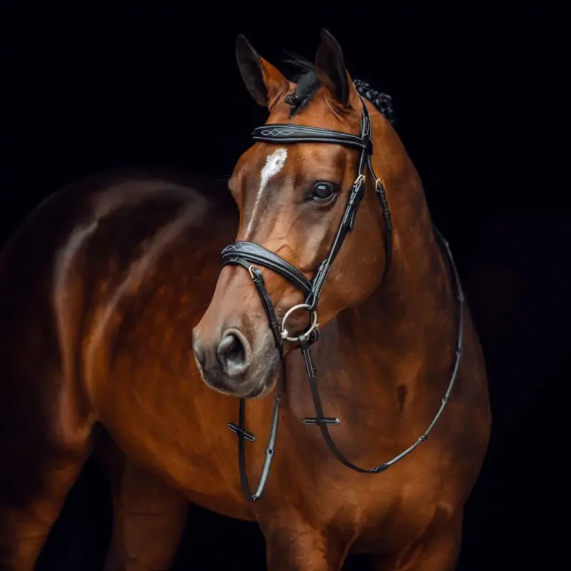 Filet Sion met teugels Horze Promo Stagionale