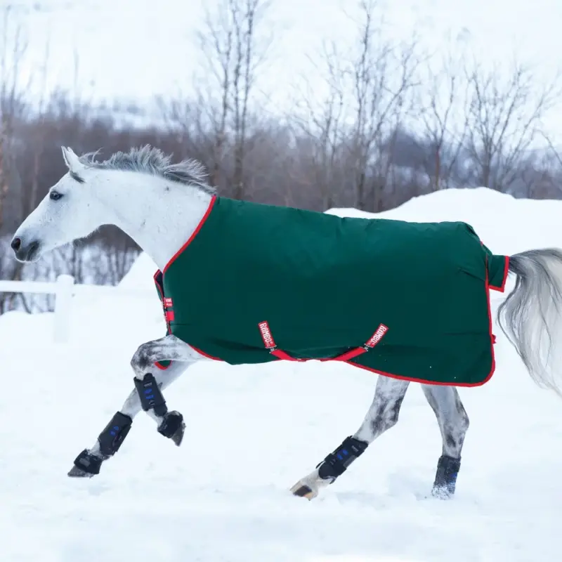 Prezzo Di Fabbrica Coperta da esterno Horseware Rambo Original 400g